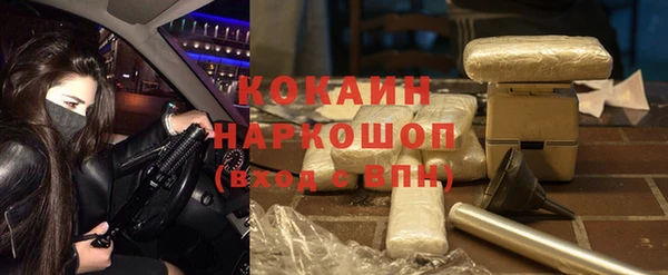 тгк Богданович