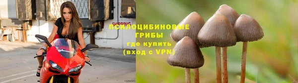 тгк Богданович