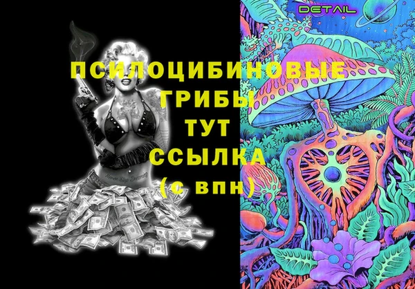 тгк Богданович