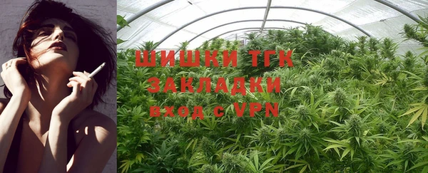 тгк Богданович