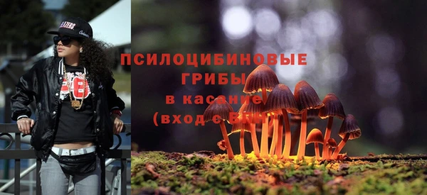 тгк Богданович